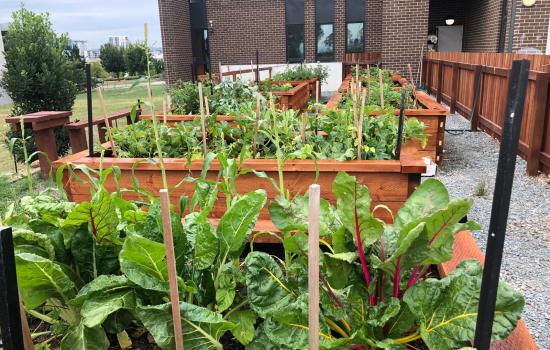 Community Garden Project
