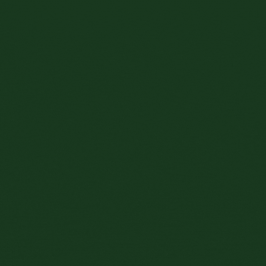 daily-donation-program